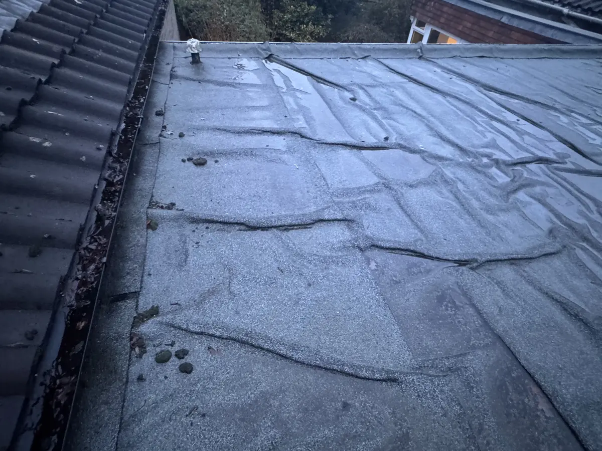 Failed flat roof membrane with wrinkles and splitting found during survey
